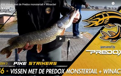 Pike Strikers vissen met de Predox Monstertail